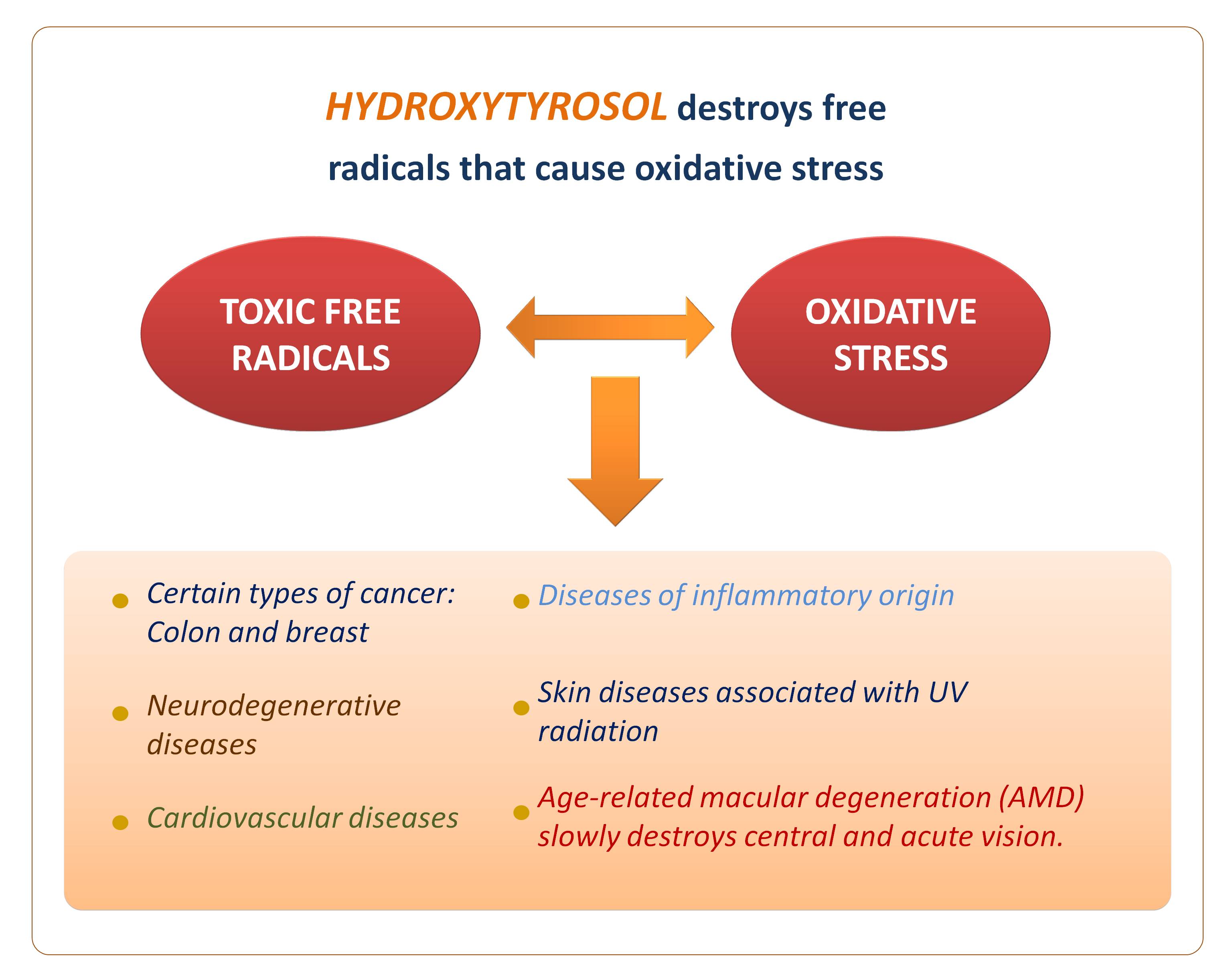 Hydroxytyrosol has multiple health benefits