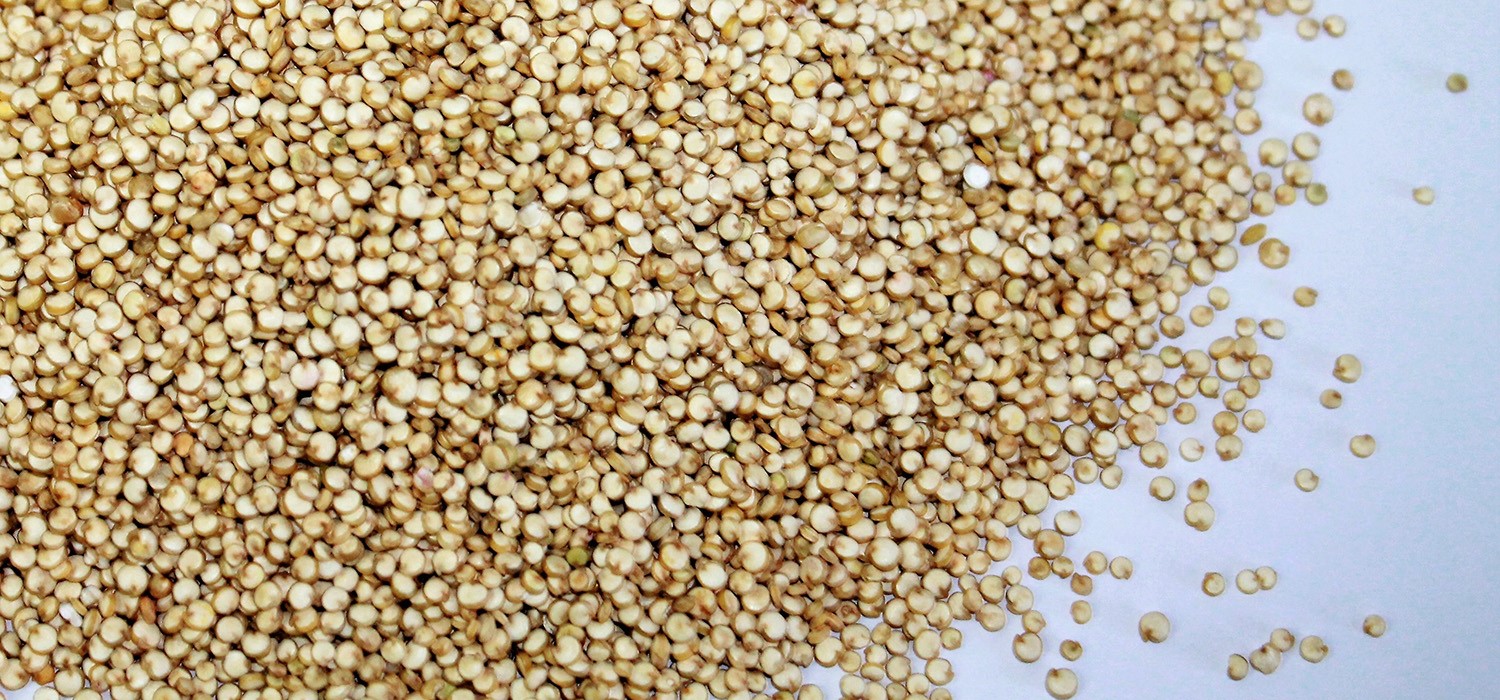 Quinoa, a product beyonds fads