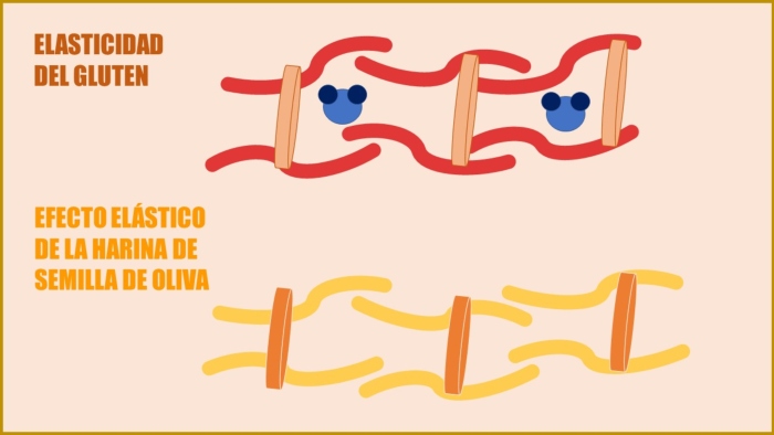 flexibility from gluten and fiber
